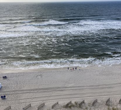 Photo #24